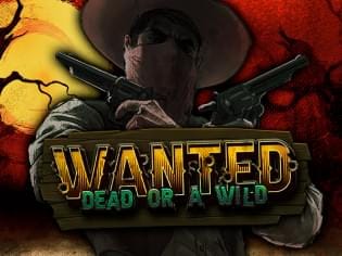 Wanted Dead or a Wild screenshot